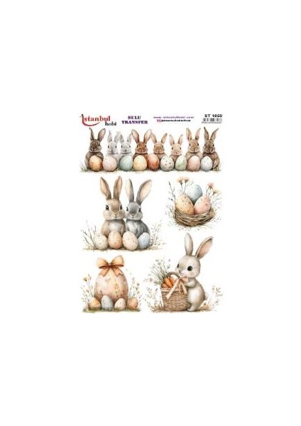 Sulu Transfer Kağıdı 25X35CM ST-1853