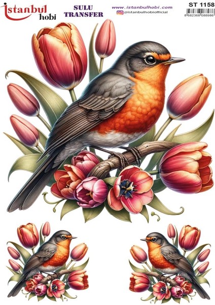 Sulu Transfer Kağıdı 25X35CM ST-1158