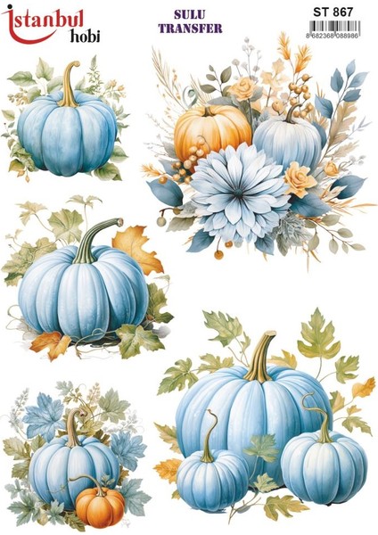 Sulu Transfer Kağıdı 25X35CM ST-867