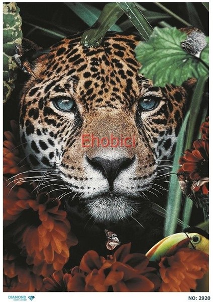 Diamond Pirinç Dekopaj Kağıdı - 2920