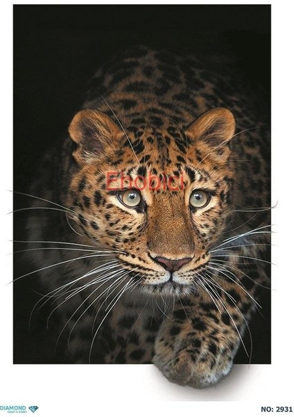 Diamond Pirinç Dekopaj Kağıdı - 2931