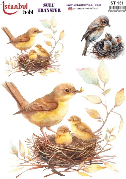 Sulu Transfer Kağıdı 25X35CM ST-131