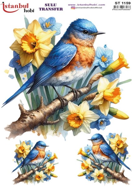 Sulu Transfer Kağıdı 25X35CM ST-1159