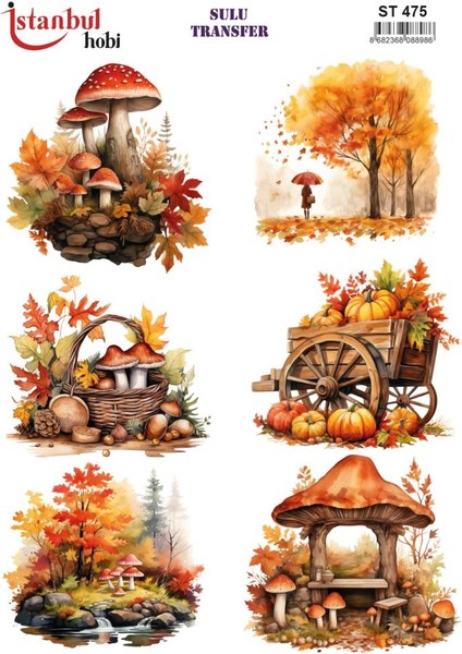 Sulu Transfer Kağıdı 25X35CM ST-475