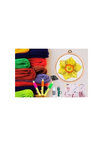 Punch Seti Nakış Seti Kasnaklı Kendin Yap Seti Seri 86