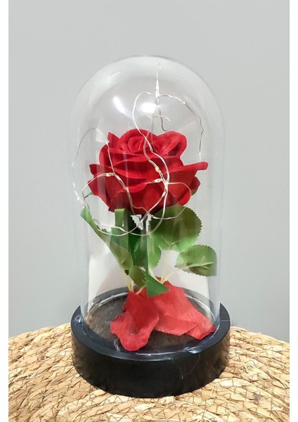 Gül Işıklı LED Fanus