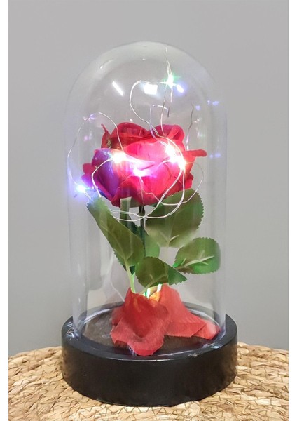 Gül Işıklı LED Fanus fiyatları