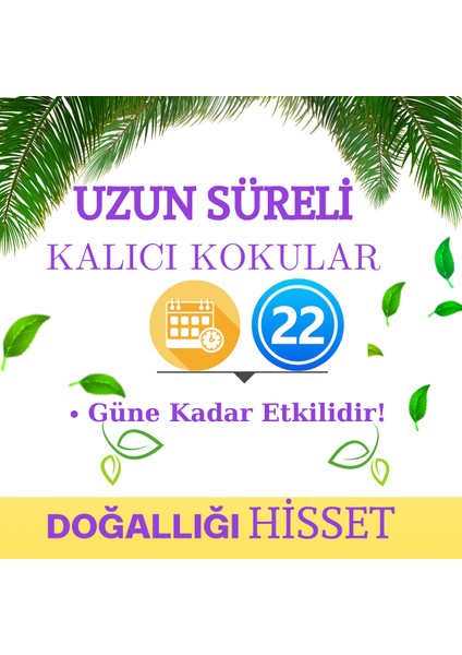 4 Al 3 Öde Araç Kokusu - Mini Mekan Kokusu – Japon Kirazı 8 ml fırsatları