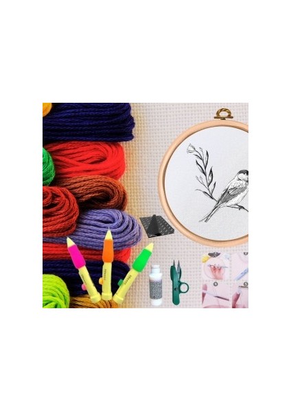 Punch Seti Nakış Seti Kasnaklı Kendin Yap Seti Seri 28