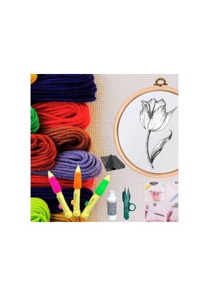 Punch Seti Nakış Seti Kasnaklı Kendin Yap Seti Seri 27