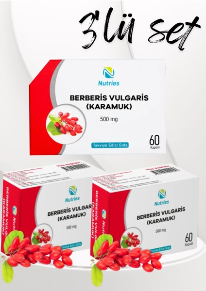Berberis Vulgaris Takviye Edici Gıda 60’lı – 3’lü Ekonomik Set