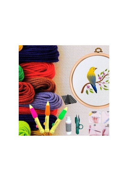 Punch Seti Nakış Seti Kasnaklı Kendin Yap Seti Seri 44