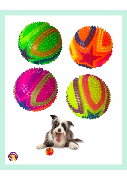 Renkli Dikenli Köpek Oyun Topu 6 cm – Sesli, Işıklı, Dental ve Dayanıklı Oyuncak