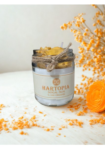 Hartopia-Doğal Kuru Gül Mum Cam Kavanoz modelleri