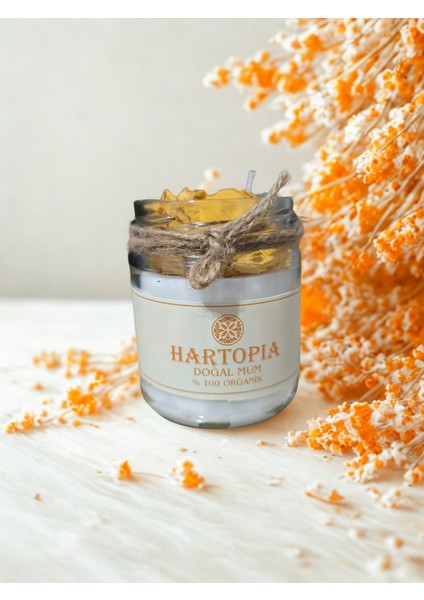 Hartopia-Doğal Kuru Gül Mum Cam Kavanoz fırsatları