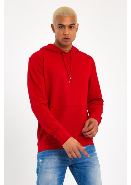 Süperlife Erkek Kapşonlu Regular Fit Ince Sweatshirt Spr 20K55 fiyatları