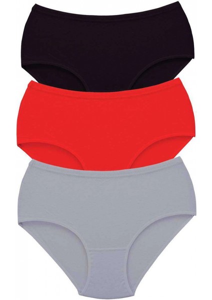 3 Adet Tutku Kadın Yüksek Bel Bato Kalın Lastik Külot S2