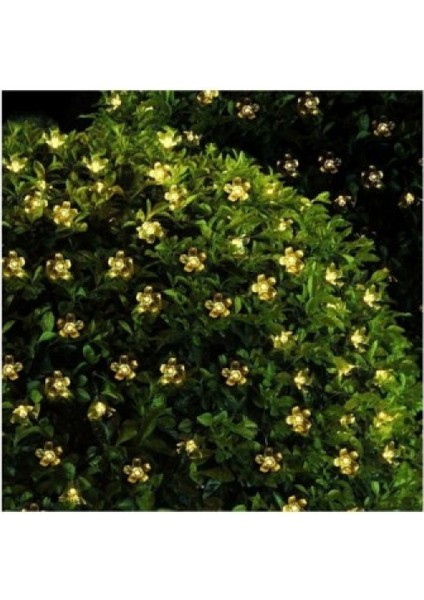 Solar Çiçekli Bahçe Lambası 30 Led, Gün Işığı Dekoratif Dış Mekan Süsü indirimleri