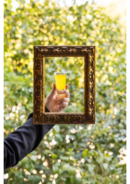 Premium Naturel Sızma Soğuk Sıkım Zeytinyağı (1 Litre) fiyatları