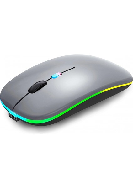 ZR215 CBA100 Rgb Füme Şarjlı Mouse