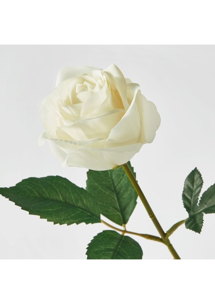 Yapay Çiçek, Beyaz, 40 Cm, Yıldız Çiçeği, Iç/dış Mekan modelleri