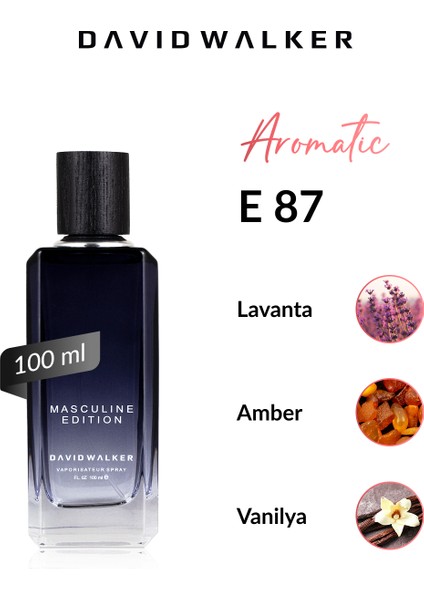 E87 Diegor 100 ml Erkek Parfüm | Aromatic