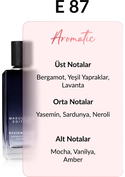 E87 Diegor 100 ml Erkek Parfüm | Aromatic fiyatları