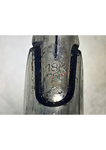 Waterman Altın Uçlu Dolmakalem fırsatları