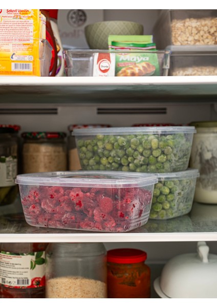 3'lü Buzdolabı Organizeri Mikrodalga ve Derin Dondurucuya Uygun Saklama Kabı (1 Lt) fiyatları