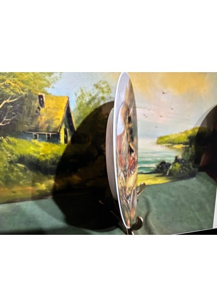 Limoges France 26 cm Çapında Porselen Dekor Tabağı -8706512 fiyatları