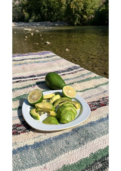 Alanya Tropikal 1(Kg) Alanya Avokado fırsatları