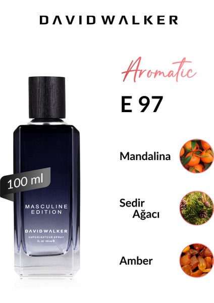 E97 Bavari 100 ml Erkek Parfüm | Aromatic
