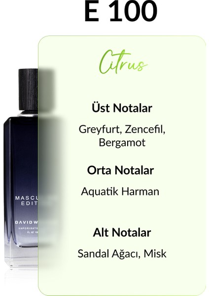 E100 Benust 100 ml Erkek Parfüm | Citrus fiyatları