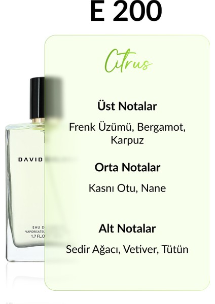 E200 Castle 50 ml Erkek Parfüm | Citrus fiyatları