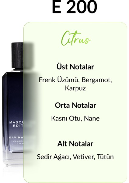 E200 Castle 100 ml Erkek Parfüm | Citrus fiyatları