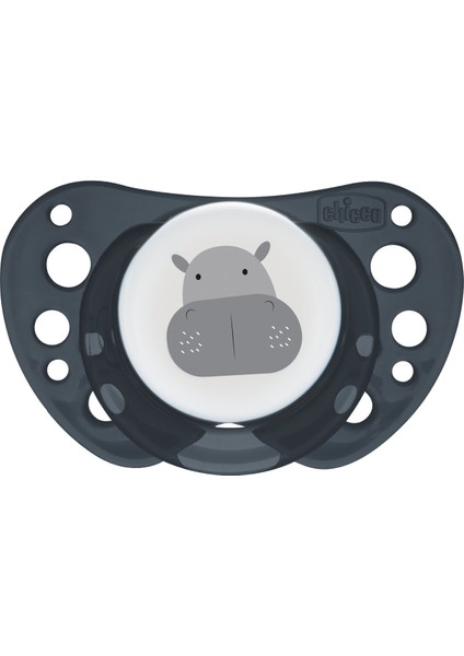 Chicco Physioforma Air 2'li Silikon Emzik 16-36 Ay fırsatları