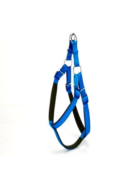 Köpek Bel Tasması 95CM Xx-Large Mavi