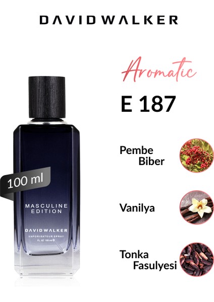 E187 Valnes 100 ml Erkek Parfüm | Aromatic