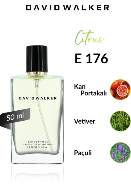 E176 Kingdom 50 ml Erkek Parfüm | Citrus