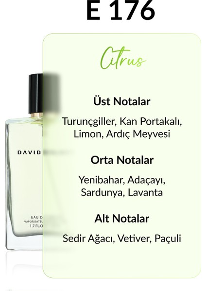 E176 Kingdom 50 ml Erkek Parfüm | Citrus fiyatları