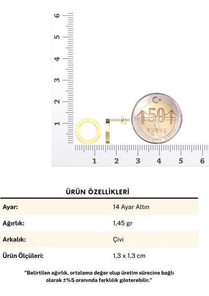 Sade Çember 14 Ayar Altın Küpe fırsatları