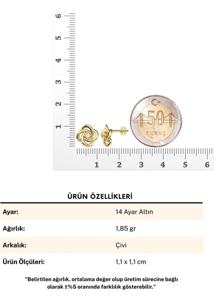 Minimal Sarmal Tek Taş 14 Ayar Altın Küpe fırsatları