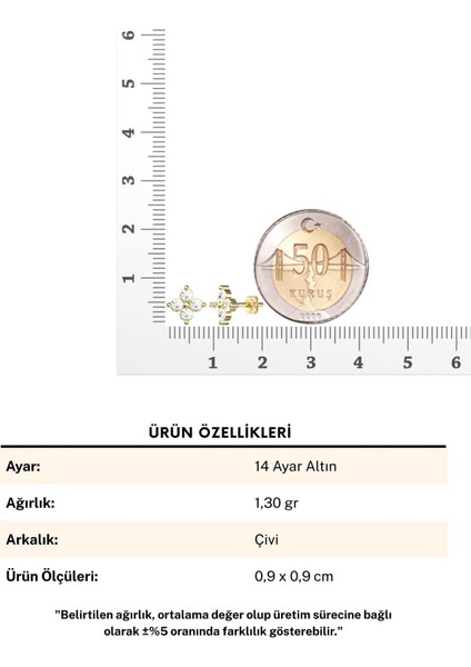Defne Tohum 14 Ayar Altın Küpe fırsatları