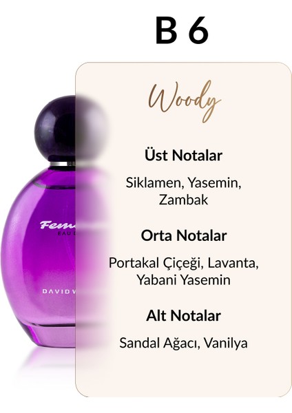 B6 Desting 100 ml Kadın Parfüm | Woody fiyatları
