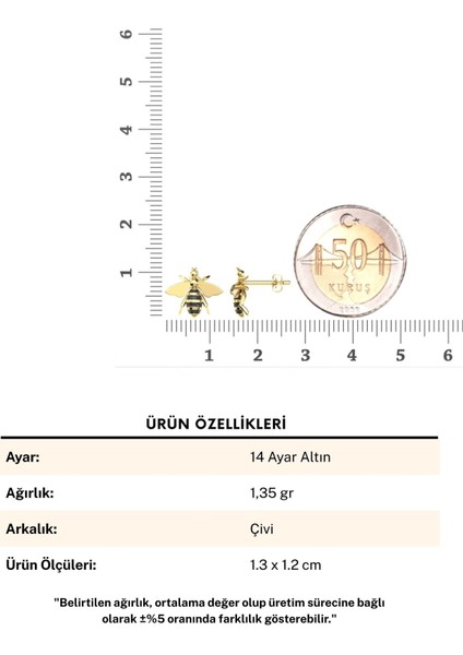 Mineli Arı 14 Ayar Altın Küpe fırsatları