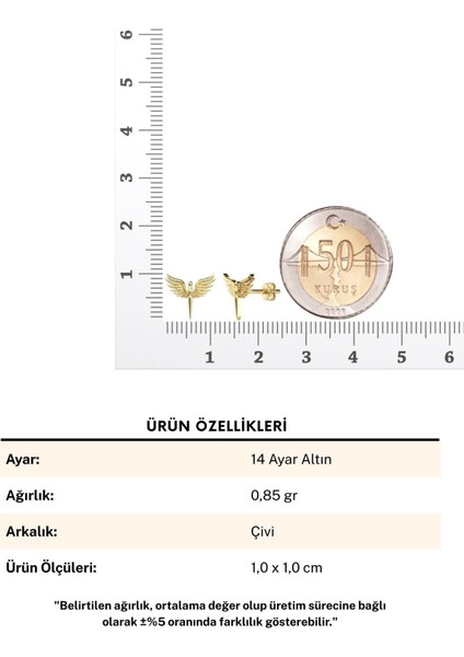 Sade Minik Mikail Meleği 14 Ayar Altın Küpe fırsatları
