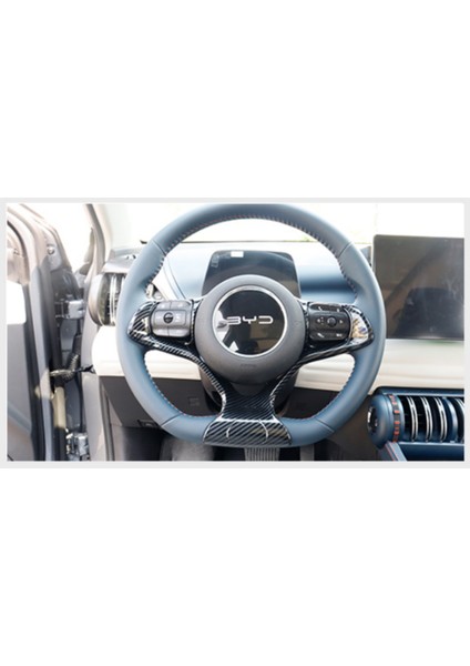Byd Atto 3 Direksiyon Karbon Fiber Trim Kaplaması modelleri
