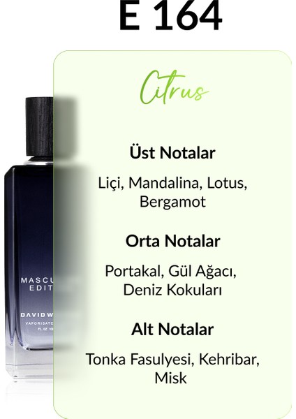 E164 Blue Motion 100 ml Erkek Parfüm | Citrus fiyatları
