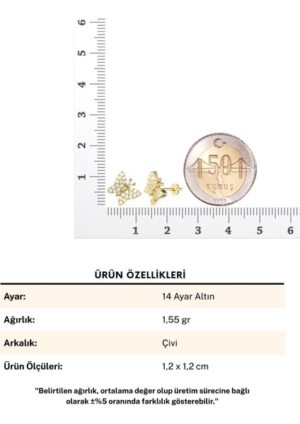 Minik Kelebek 14 Ayar Altın Küpe fırsatları