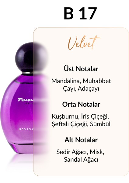 B17 Hollywood 100 ml Kadın Parfüm | Velvet fiyatları